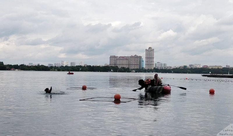 Фотография № 247494