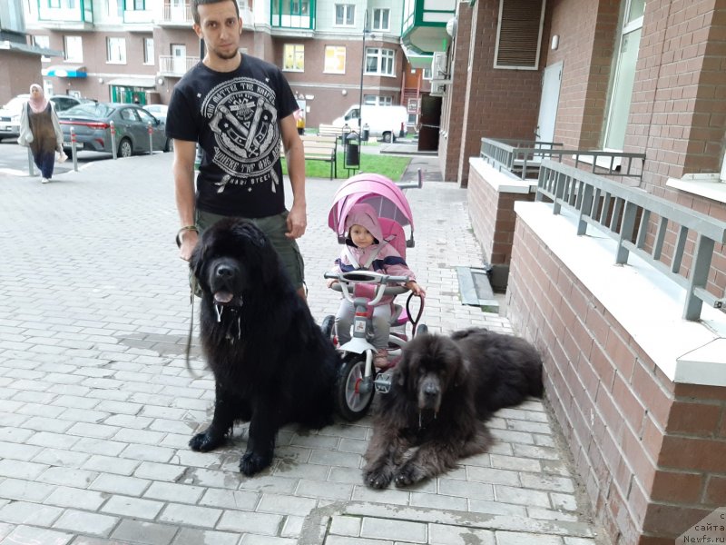 Фотография № 247501