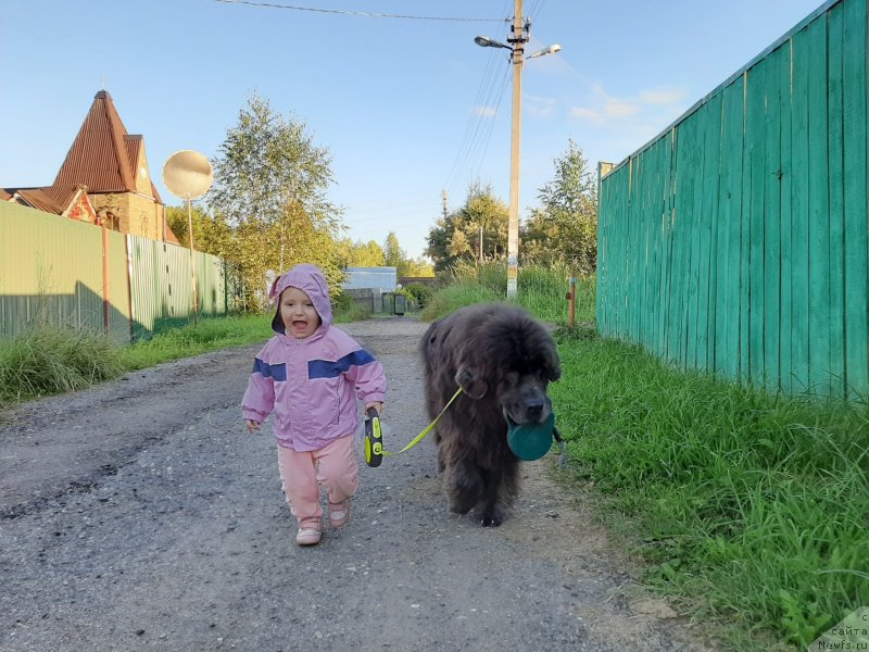 Фотография № 247503