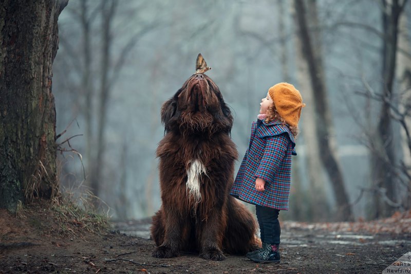 Фотография № 247511