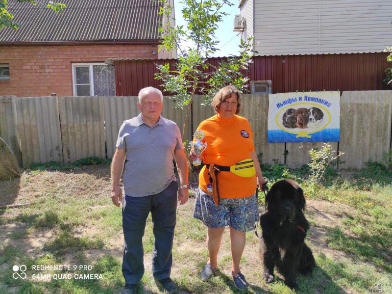 Фото: ньюфаундленд Daanich Veselyiy Rodjer (Даанич Веселый Роджер), Liliana Rahmatova (Лилиана Рахматова)