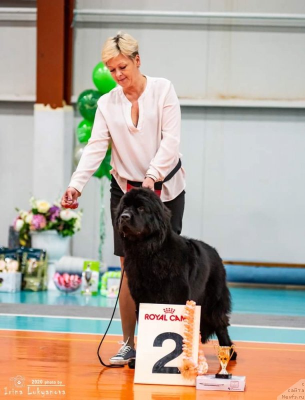 Фото: Есения Стюарт