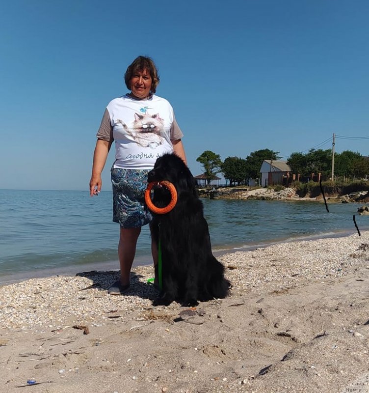 Фотография № 247583