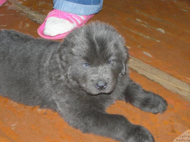 Фотография № 24759