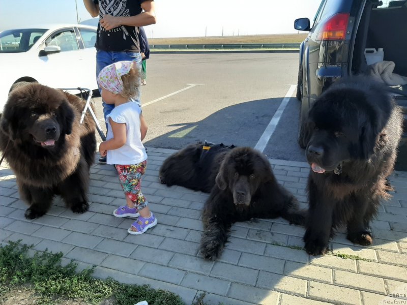 Фотография № 247598