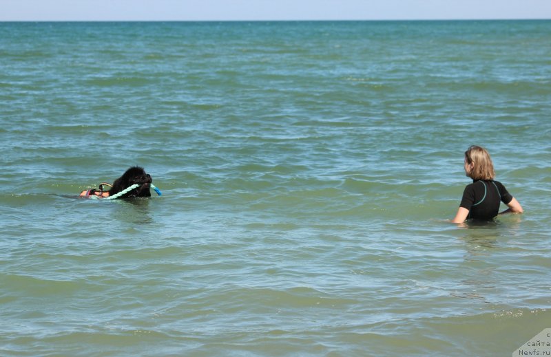 Фотография № 247601