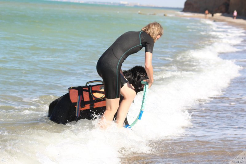 Фотография № 247603