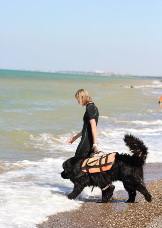 Фотография № 247604