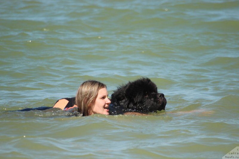 Фотография № 247606