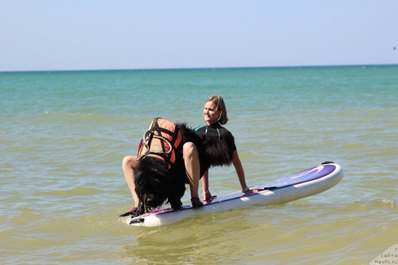 Фотография № 247611