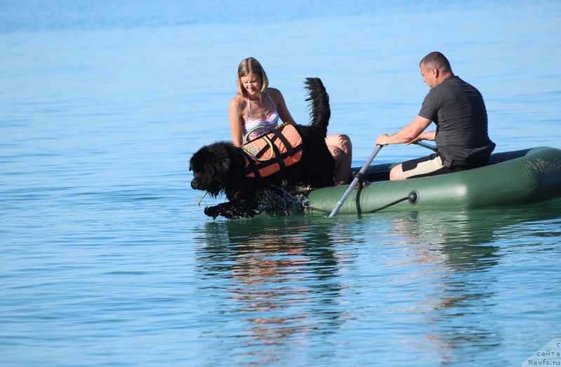 Фотография № 247617