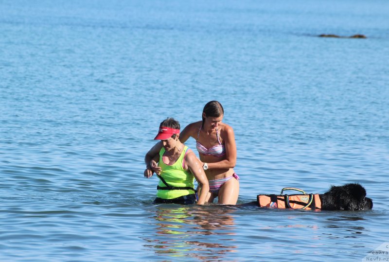 Фотография № 247624