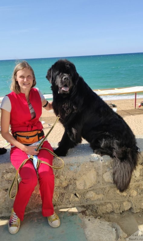 Фотография № 247635