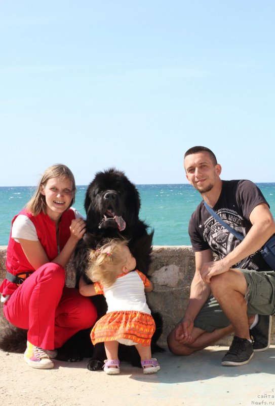 Фотография № 247639