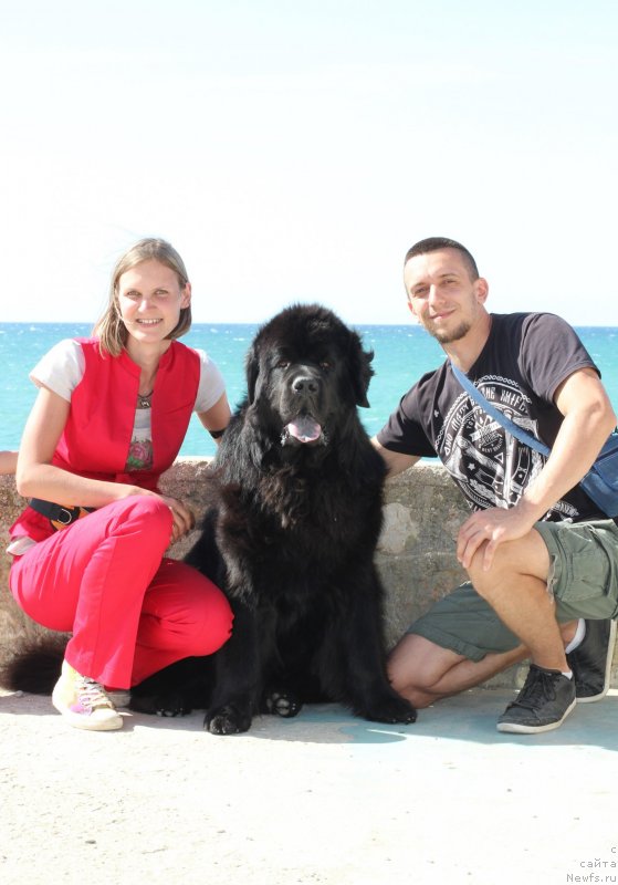 Фотография № 247640