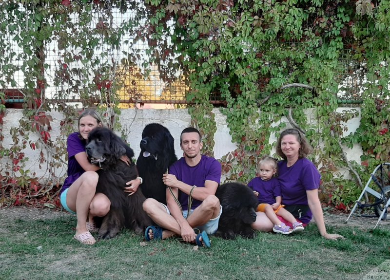 Фотография № 247643