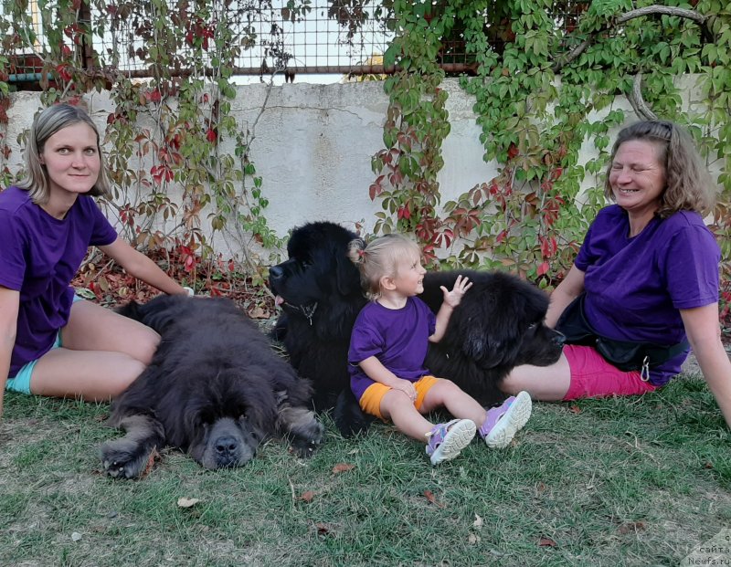 Фотография № 247645