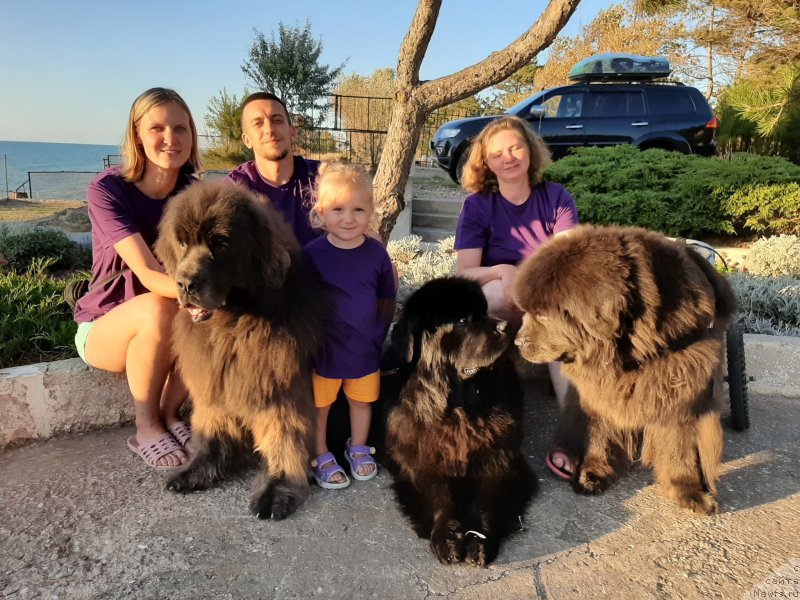 Фотография № 247649