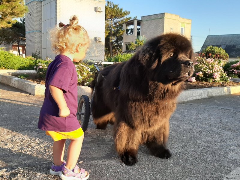 Фотография № 247652