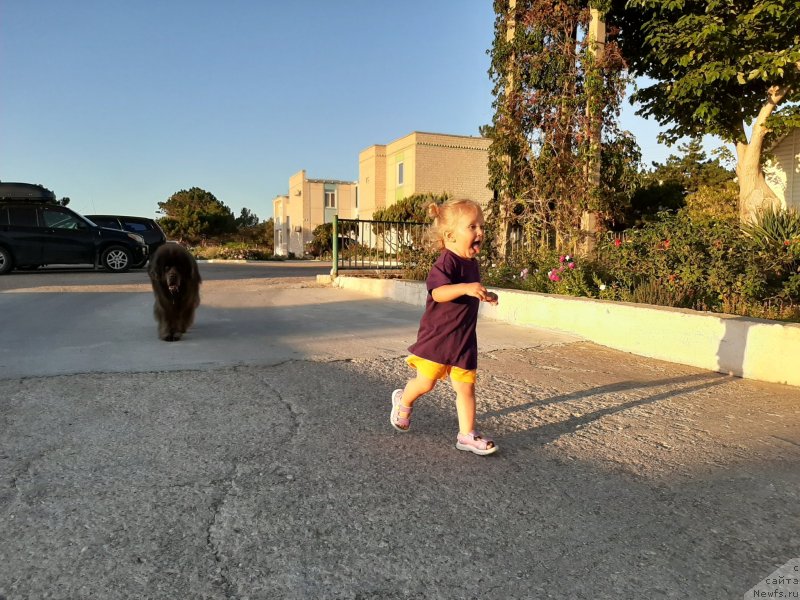 Фотография № 247653