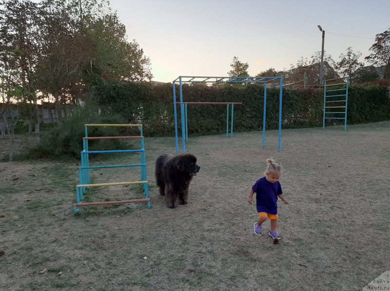 Фотография № 247656