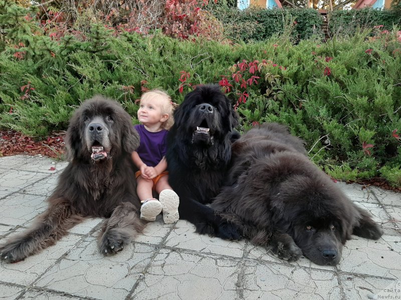 Фотография № 247657