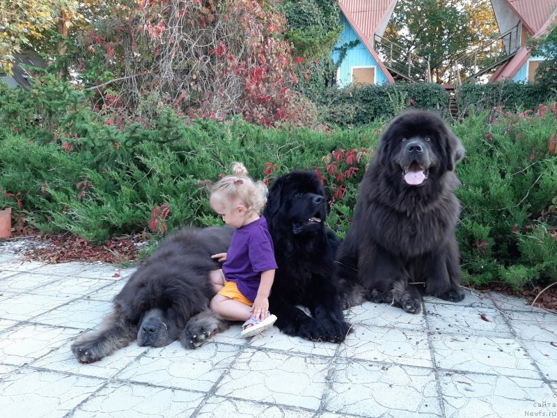 Фотография № 247658