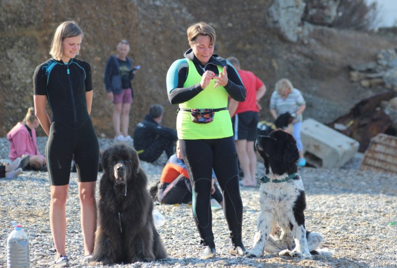 Фотография № 247664