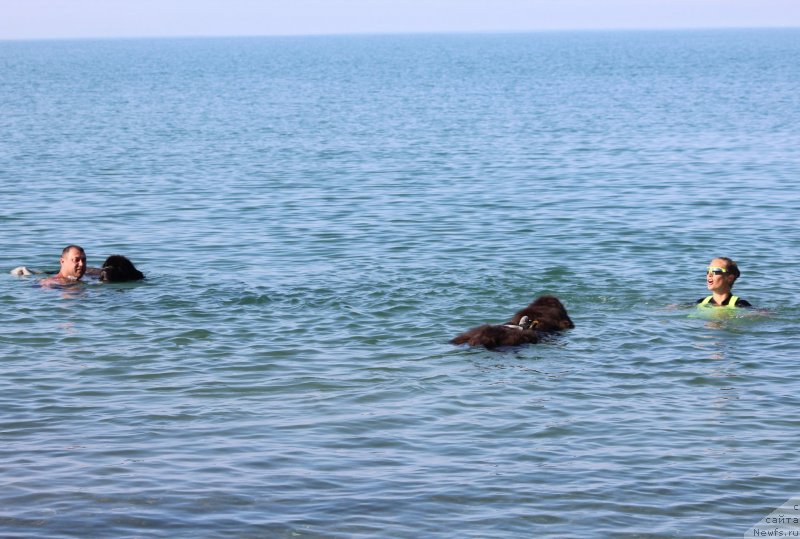 Фотография № 247666