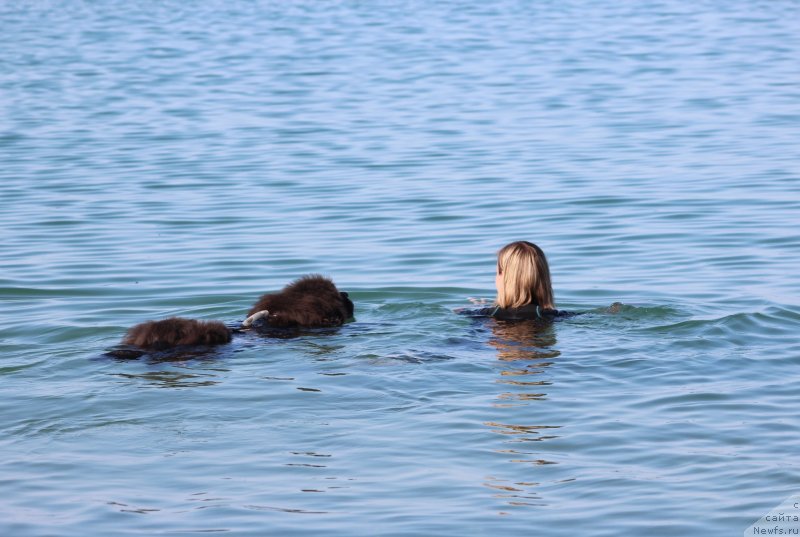 Фотография № 247669