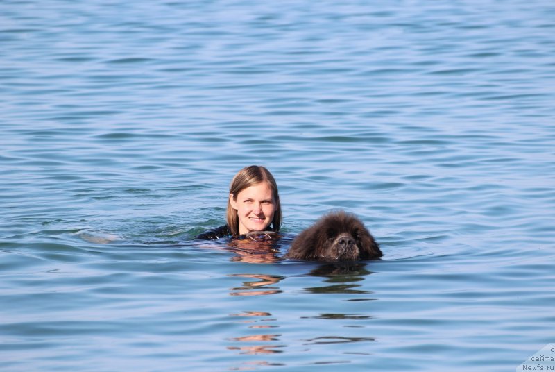 Фотография № 247671