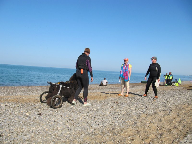 Фотография № 247676