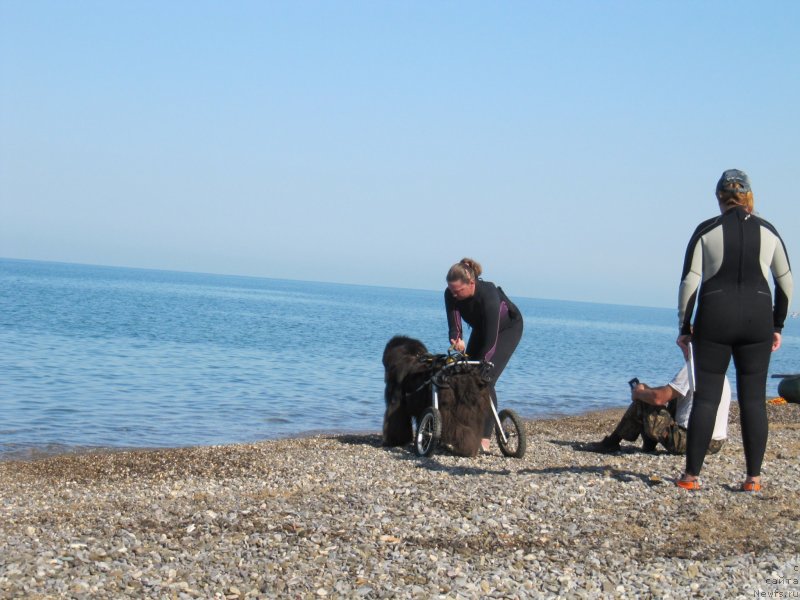 Фотография № 247678