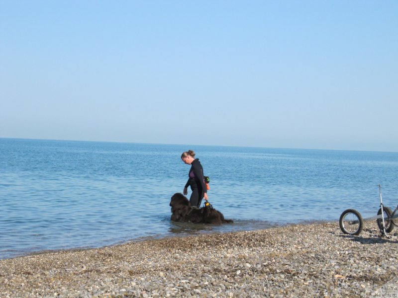 Фотография № 247679