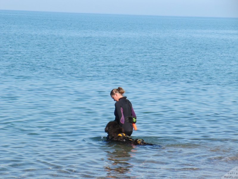 Фотография № 247680