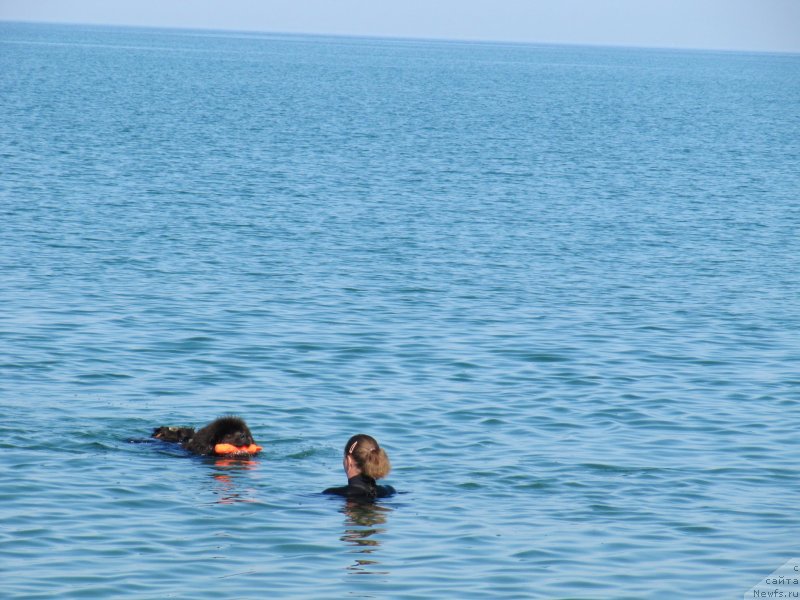 Фотография № 247682