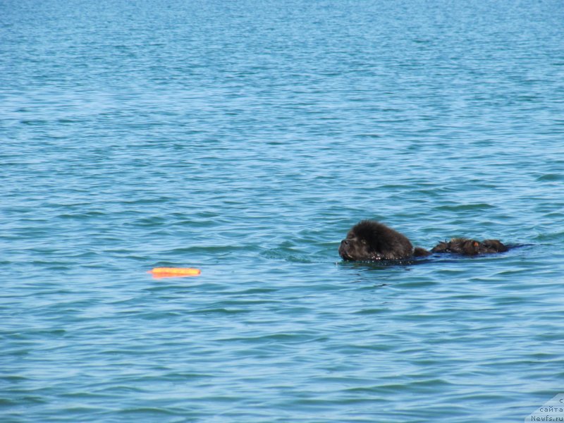 Фотография № 247684