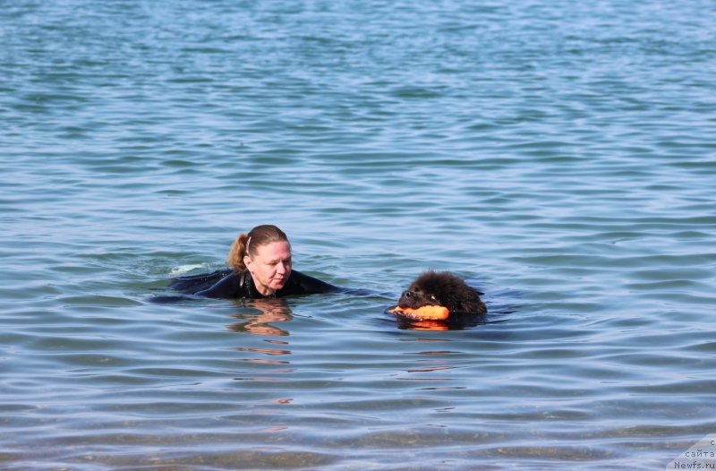 Фотография № 247686