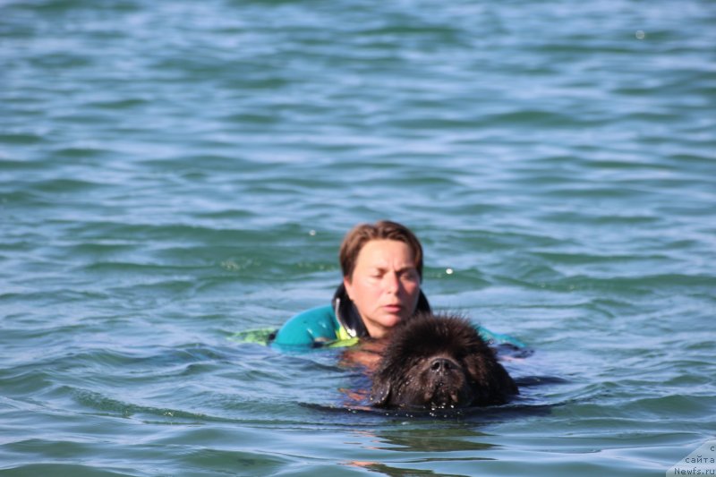 Фотография № 247689