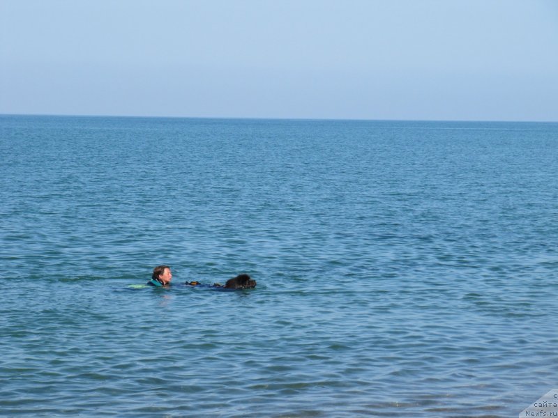 Фотография № 247690