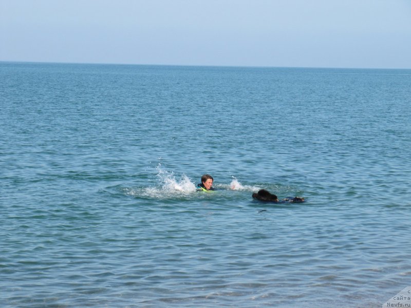 Фотография № 247691