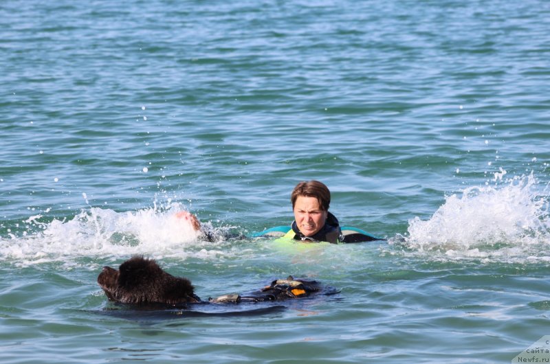 Фотография № 247692