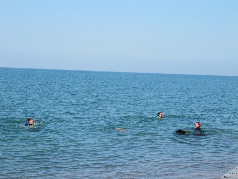 Фотография № 247696