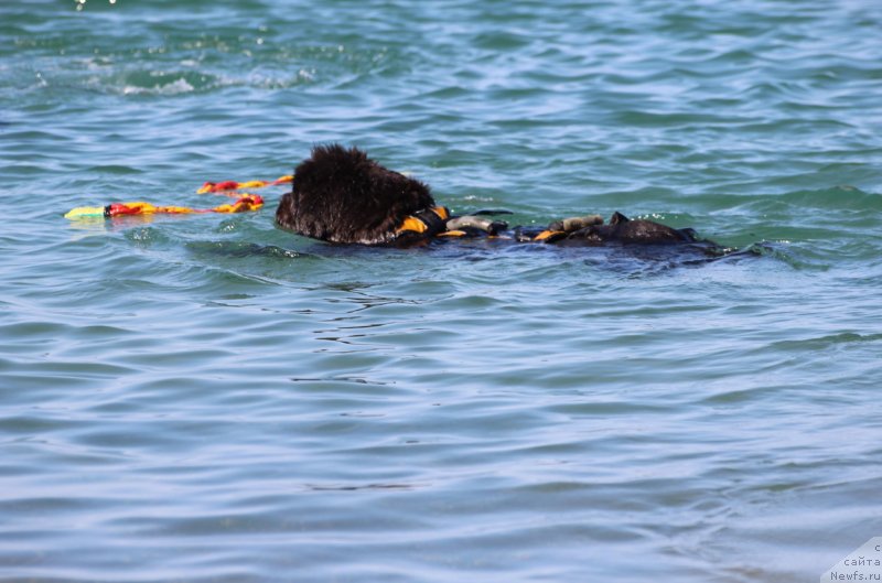 Фотография № 247698