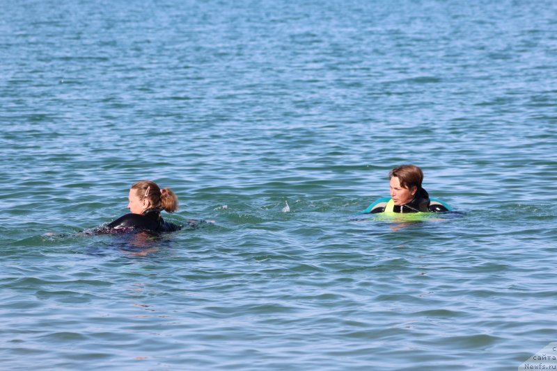 Фотография № 247699