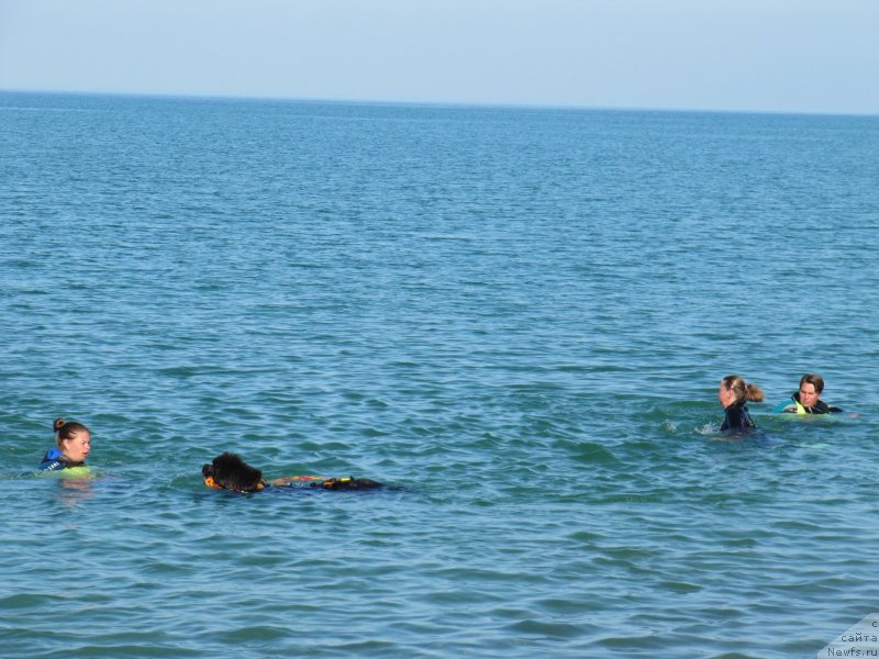 Фотография № 247700