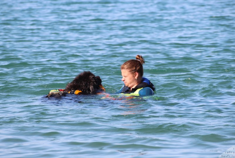 Фотография № 247701