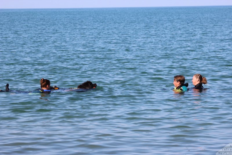 Фотография № 247702