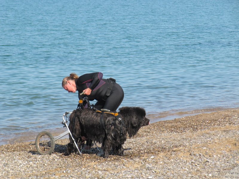 Фотография № 247705