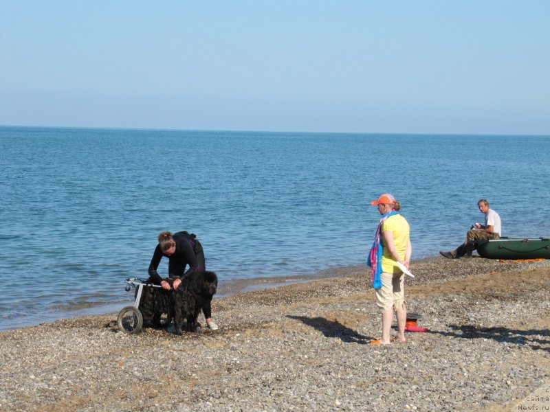 Фотография № 247706